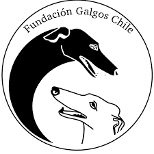 Fundación Galgos Chile