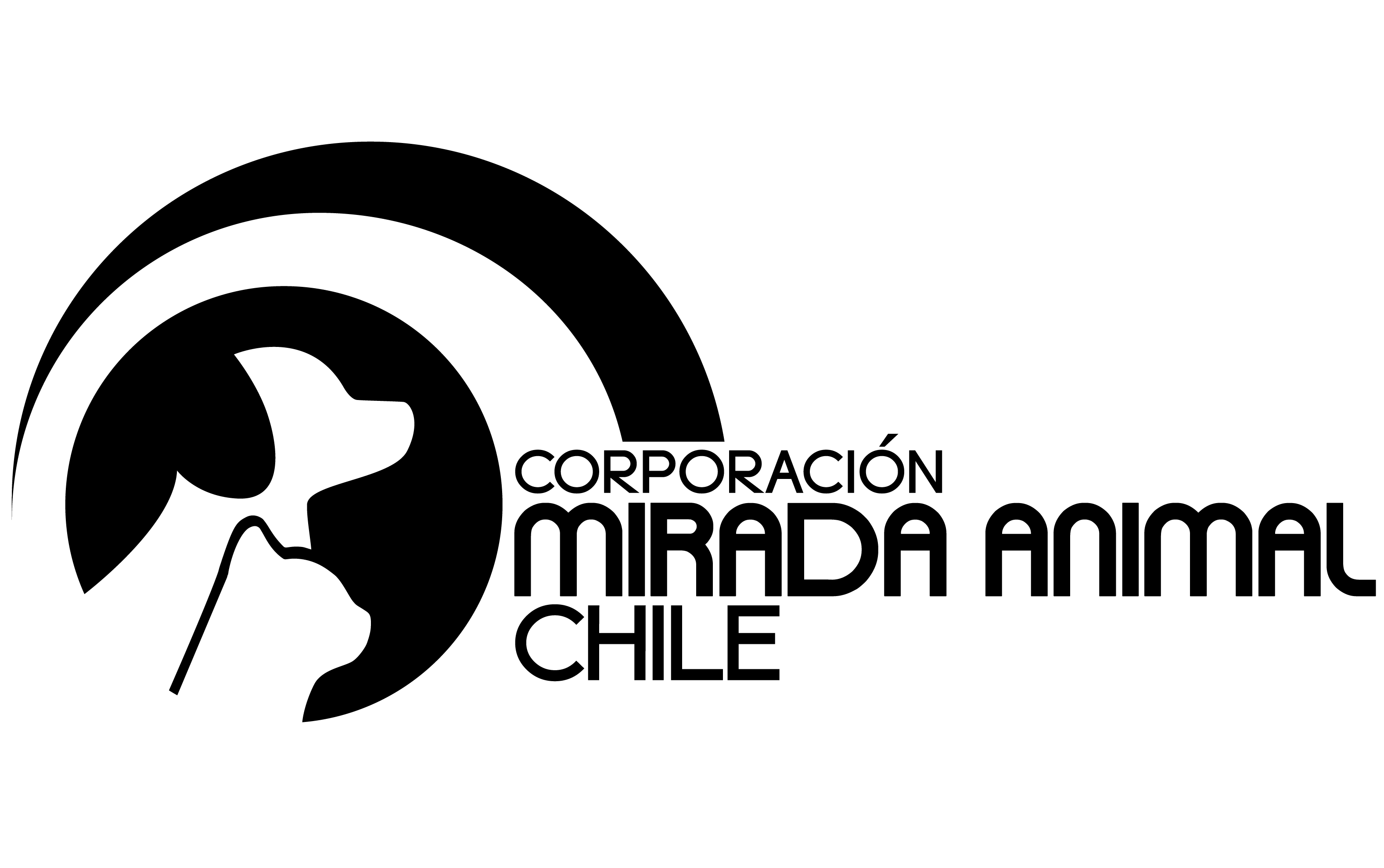 Corporación Mirada Animal Chile